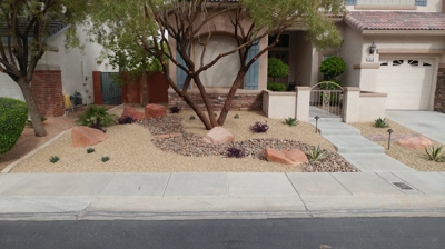 Desert Landscapes