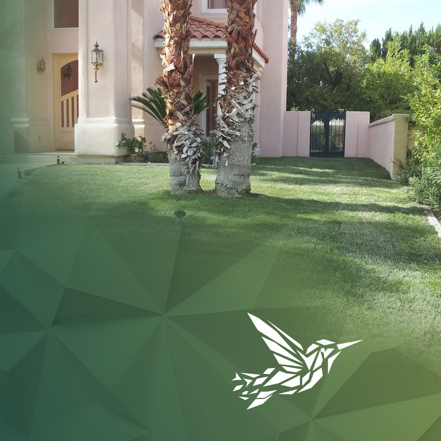 Landscape Design